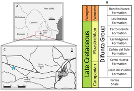 Geographic and stratigraphic setting of the site where the fossils of Coahuilaceratops were found (belonging to the Cerro Huerta Formation)