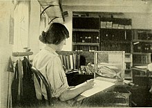 Woman sitting painting a fish that is swimming in a tank in front of her