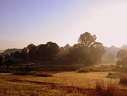 Kanha National Park