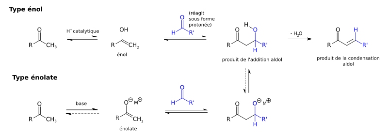 Un résumé de la réaction aldolique