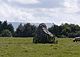 Trefwri western standing stone. Another stone, 200m to the east is the one I should have photographed