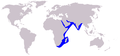 Distribución de S. plumbea