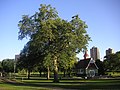 Loring Park in the Summertime