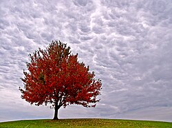 Masterson Station Park