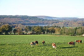 Guerlédan, dans le sud.