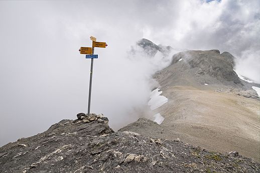 Roter Herd at Schilthorn, Switzerland