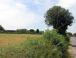 Field in foreground to left with low flat school building behind and lane to right