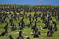 2010年6月5日 (土) 02:01時点における版のサムネイル