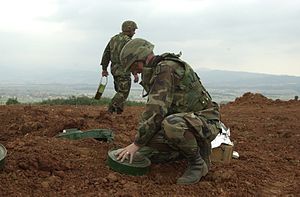 美國陸軍工兵部隊正在清除地雷。