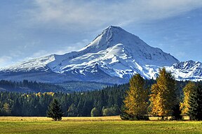 Mt. Hood National Forest