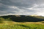 A mountain meadow in Bighorn National Forest.