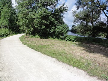 La Loire à Vélo à Candé-sur-Beuvron