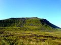 Ingleborough vista dalla torbiera sottostante