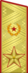 Парадны пагон генерала арміі (1974-1991)
