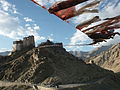 Bandiere di preghiera che connettono due picchi del Picco della Vittoria su Leh, Ladakh, India. Il Namgyal Tsemo Gompa è visibile da questo picco.