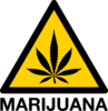 Un símbolo de un diamante amarillo con contornos negros con una hoja de marihuana negra dentro, la palabra "Marihuana" aparece debajo en negro