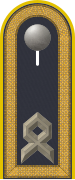 Dienstgradabzeichen auf der Schulterklappe der Jacke des Dienstanzuges für Luftwaffenuniformträger.