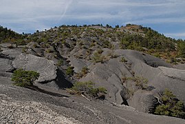 Marnes noires de l'Adret de l'Escure.