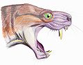 Reconstrucción de la cabeza d'un Moschorhinus