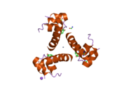 2omh: Structure of human insulin cocrystallized with ARG-12 peptide in presence of urea