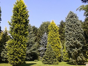 Parc arboretum du Manoir-aux-Loups.