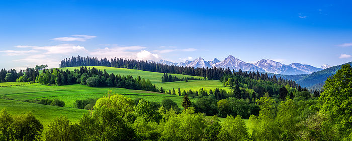 miejsce 2. Pieniny (fot. Jakub Perlikowski 'Qvidemus')