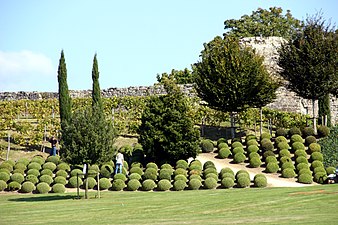 Jardins du château royal d'Amboise.