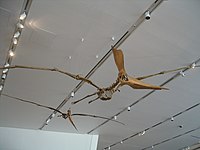 Han og hun Pteranodon sternbergi skeletter ved Royal Ontario Museum.