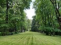 Le bosquet André Le Notre, place centrale du village.