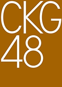 CKG48第一代组合标志
