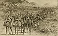 Caravane Haoussa transportant des noix de cola, région du lac Tchad vers 1895.