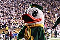 The Oregon Duck mascotte des Ducks d'Oregon