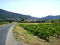 Vue vers Tautavel depuis Vingrau