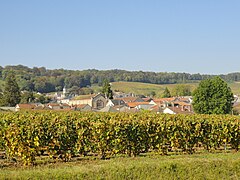 Vue du centre d'Avize depuis le vignoble.