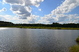 Bakanauskų ežeras nuo apžvalgos aikštelės