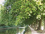 Le canal d'Orléans à Chécy.