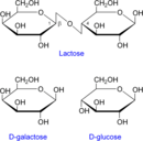 Lactose keseluruhan dan terhidrolisis