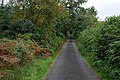 Lane heading north from Nant Glas