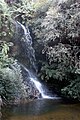 Una pequeña cascada en Leura