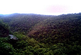 Nallamalla hills on rainy day near Atmakur