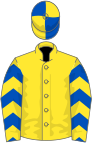 Yellow, royal blue and yellow chevrons on sleeves, quartered cap
