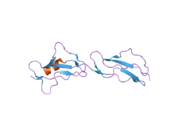 2g7i: Structure of Human Complement Factor H Carboxyl Terminal Domains 19-20: a Basis for Atypical Hemolytic Uremic Syndrome