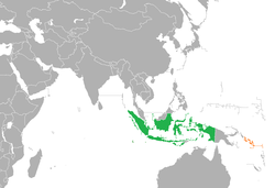 Map indicating locations of Indonesia and Solomon Islands