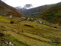 نمایی از روستای پلام در فصل پاییز