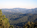 La serra de Collserola, Barcelona