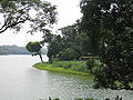 Upper Seletar Reservoir