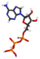 adénosine triphosphate