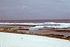 Fringing Reef on Flint Island