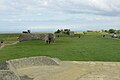 Trois des casemates vues depuis la casemate la plus à l'ouest.