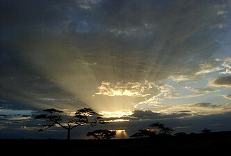 Zonsondergang in de Serengeti